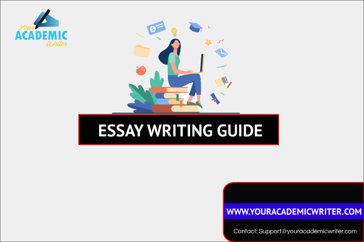 essay writing study guide