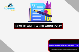 is a 500 word essay a lot